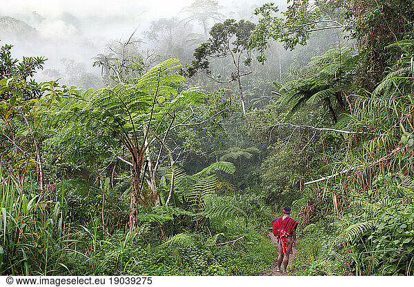 Ifugao tribesmen in a tropical rainforest.