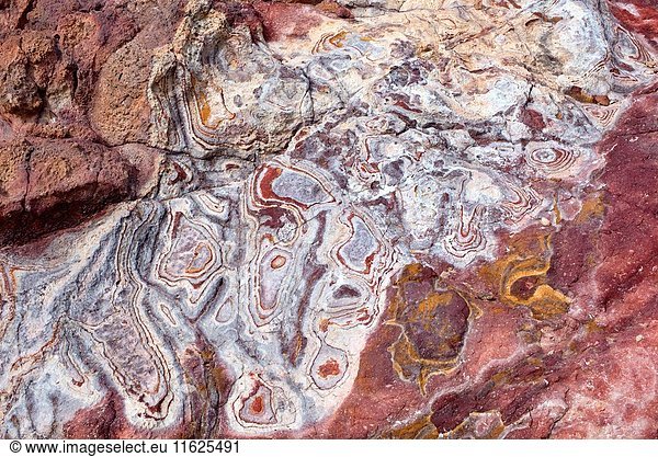 Ignimbrite with jarosite (yellow)  goethite (red) and Liesegang rings  Rodalquilar  Cabo de Gata  Almeria  Andalusia  Spain. Ignimbrite is a volcanic rock formed from a deposit of pyroclastic flow.
