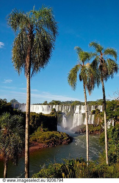 Iguazú Falls National Park. Misiones Argentina. Iguaçu. Paraná. Brasil.