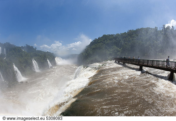Iguazu oder IguaÁu Wasserfälle gesehen von der brasilianischen Seite  Unesco-Nationalpark  Misiones Provinz  Argentinien  Südamerika
