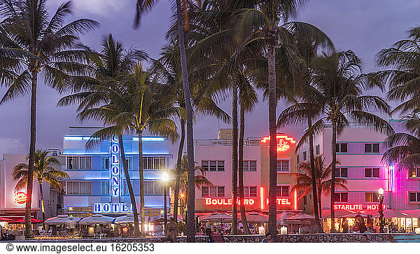 Illuminated art deco hotels in Ocean Drive  Miami Beach  Florida  USA
