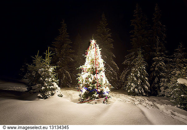 Illuminated Christmas tree on snowy landscape