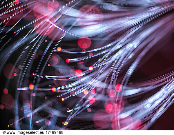 Illuminated red fiber optics carrying data