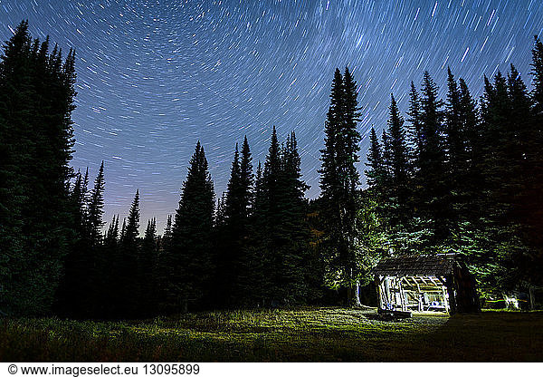 Illuminated shed by trees against star trails