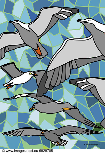 Illustration of Seagulls
