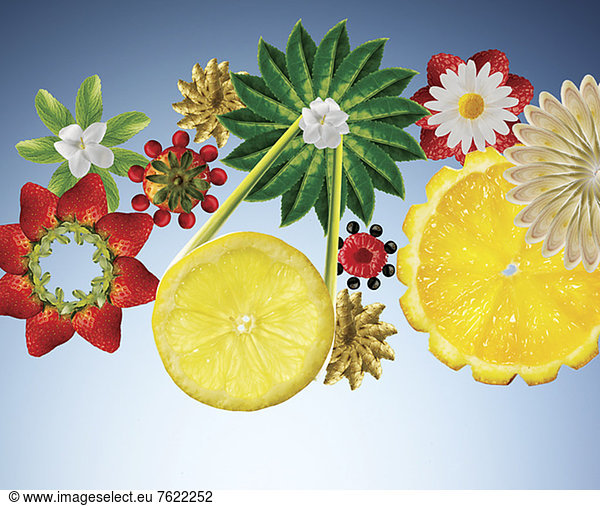 Illustration von Obst und Gemüse in Blütenform