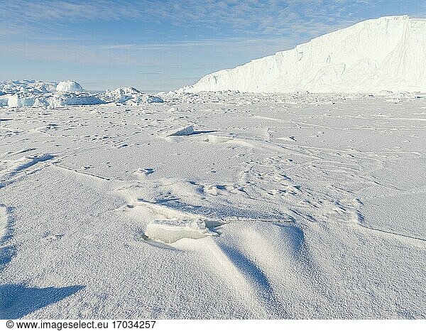 Im Winter in das Meereis des Uummannaq-Fjordsystems eingefrorene Eisberge im Nordwesten Grönlands  weit jenseits des Polarkreises. Nordamerika  Grönland  dänisches Gebiet.
