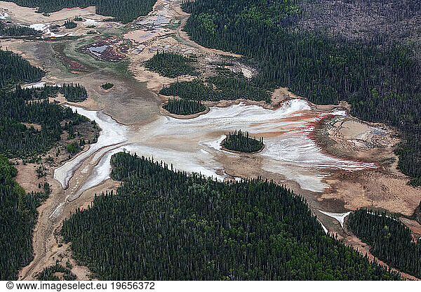 Images from Wood Buffalo National Park the nesting ground for the endangered Whooping Crane.