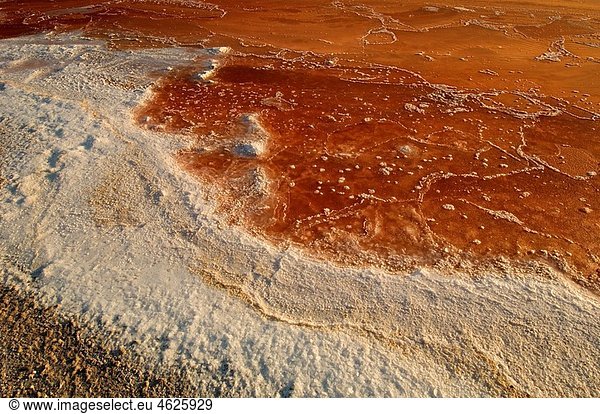 Images of the crystallization of salt. Salinas del Odiel Marshes Natural Place. Biosfera.Huelva Reserve. Andalusia. Spain