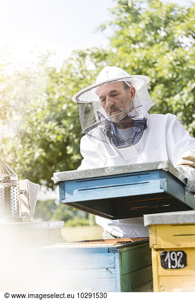 Imker in Schutzkleidung mit abnehmbarem Bienenstockdeckel