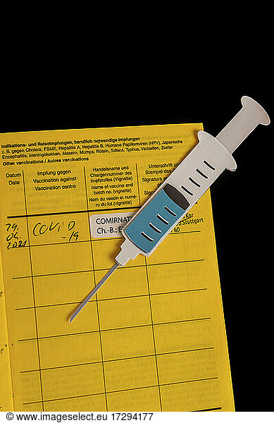 Immunization certificate and 2D paper cutout of filled syringe