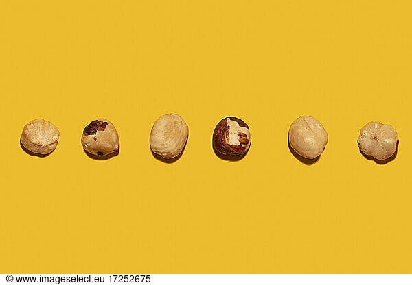 Imperfect organic roasted hazelnuts in a row against yellow background