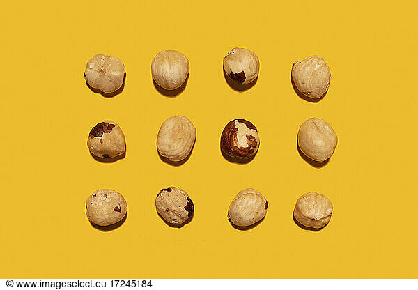 Imperfect organic roasted hazelnuts in rows against yellow background