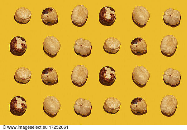 Imperfect organic roasted hazelnuts in rows against yellow background