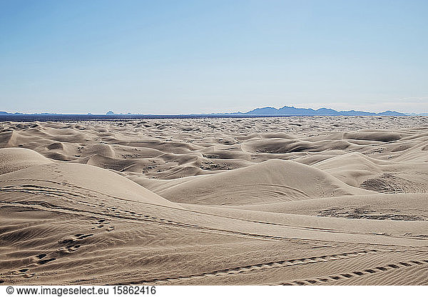 Imperiale Sanddünen in Kalifornien erstrecken sich bis zum Horizont.