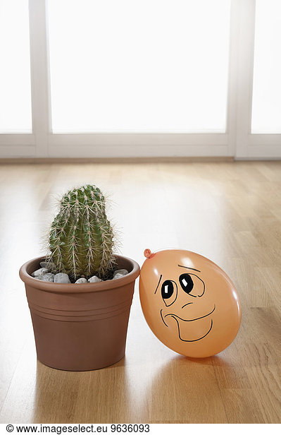 Impossible love between cactus and balloon