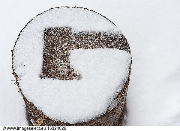 Imprint of an axe on a snow-covered log of wood