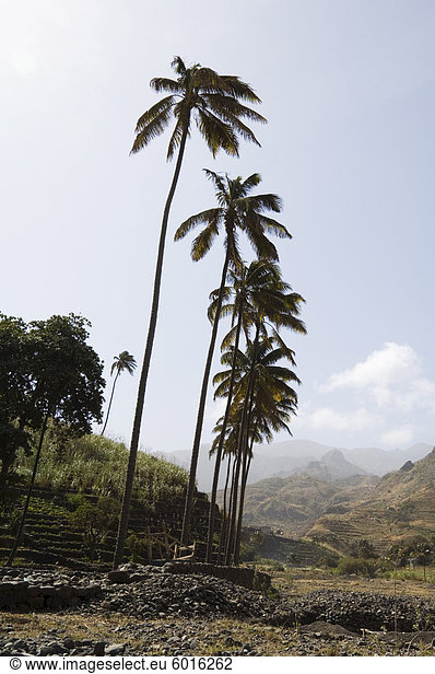 In der Nähe von Ribiera Grande Santo Antao Kapverdische Inseln Afrika