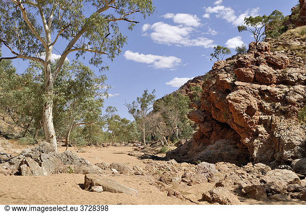 In der Red Bank Gorge  West MacDonnell Ranges  Northern Territory  Australien