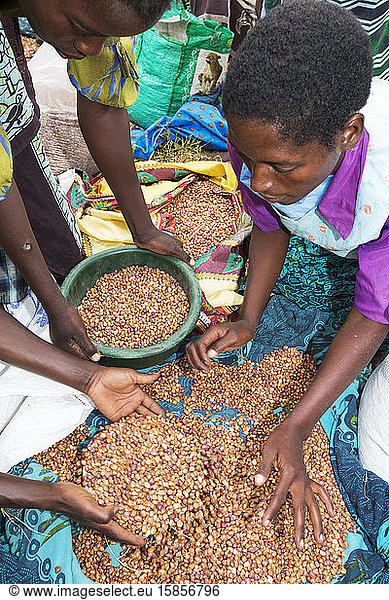 In mid January 2015  a three day period of excessive rain brought unprecedneted floods to the small poor African country of Malawi. It displaced nearly quarter of a million people  devastated