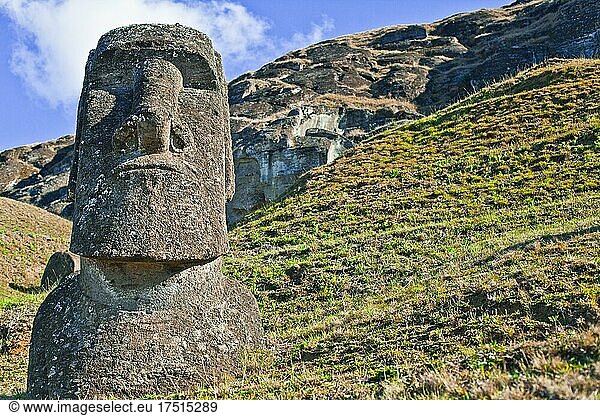 In the remote Chilean island of Rapa Nui  the famous Easter island  there are more horses living on the island than men.