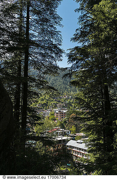 India  Himachal Pradesh  Manali  Buildings and trees in mountain landscape