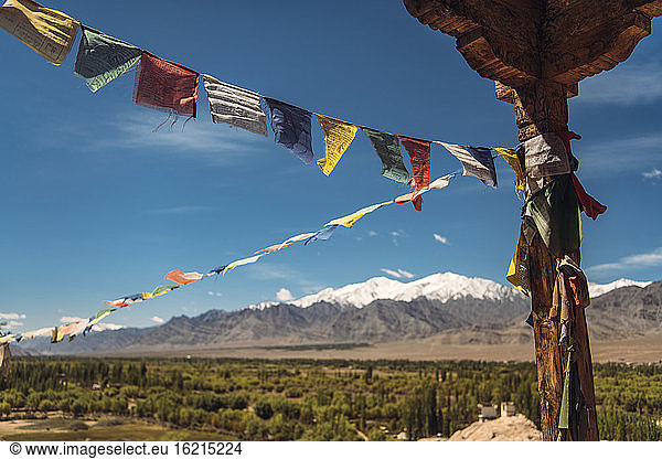 India  Ladakh  Colorful prayer flags hanging outdoors