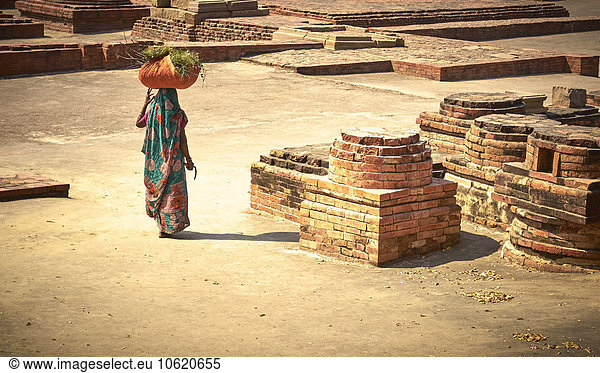 India  Sarnath  woman carrying grass on head