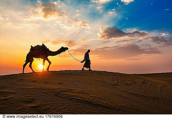 Indian cameleer (camel driver) bedouin with camel silhouettes in sand dunes of Thar desert on sunset Caravan in Rajasthan travel tourism background safari adventure Jaisalmer  Rajasthan  India
