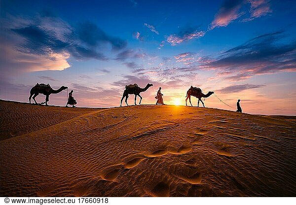 Indian cameleers (camel driver) bedouin with camel silhouettes in sand dunes of Thar desert on sunset. Caravan in Rajasthan travel tourism background safari adventure. Jaisalmer  Rajasthan  India