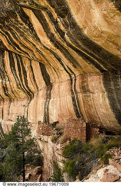Indian ruins in the South Fork of Mule Canyon in the Cedar Mesa area of Utah.