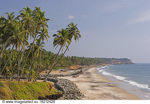 Indien  Palmen am Strand