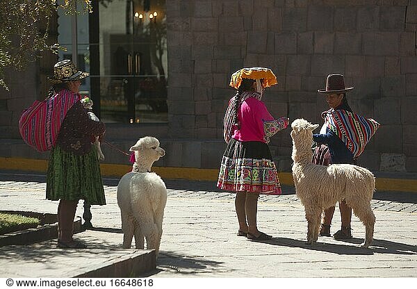 Indigene Menschen mit Lamas und Alpagas vor den kolonialen Gebäuden im historischen Zentrum  Cusco  Peru  Südamerika.