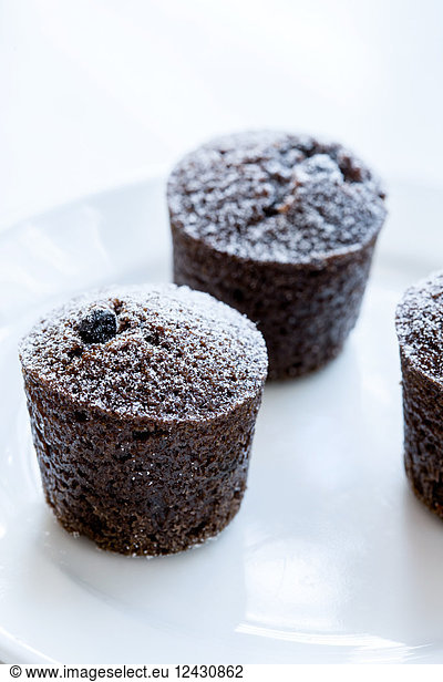 Individual chocolate cakes with powdered sugar