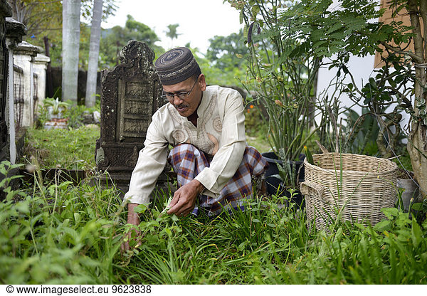 Indonesia  Aceh  Lam Rukam  man caring for garden with gravestones in memory of his dead relatives