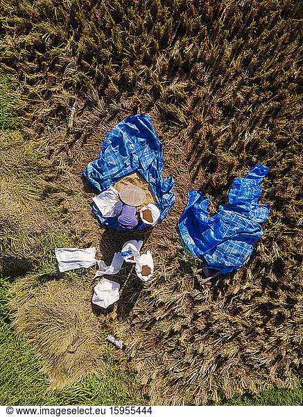 Indonesia  Bali  Aerial view of farmer working in rice paddy
