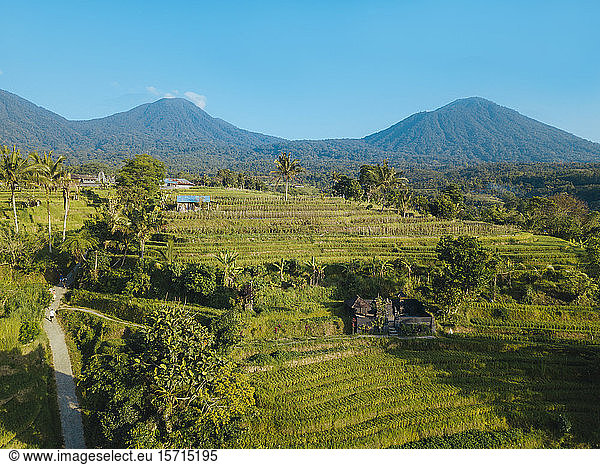 Indonesia  Bali  Aerial view of Jatiluwih Rice Terrace