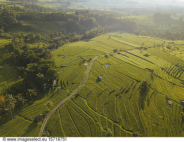 Indonesia  Bali  Aerial view of Jatiluwih Rice Terrace