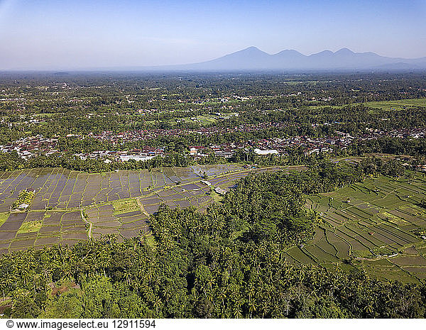 Indonesia  Bali  Ubud  Aerial view of rice fields