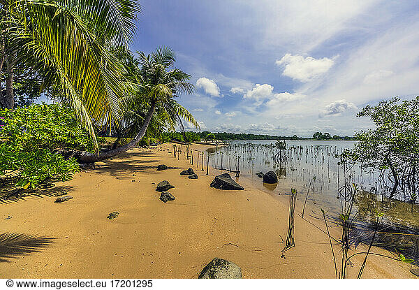 Indonesia  Bintan Island  Tropical beach