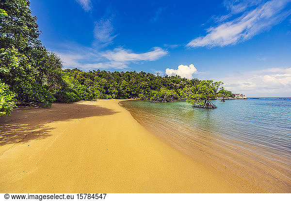 Indonesia  Bintan  Tropical beach