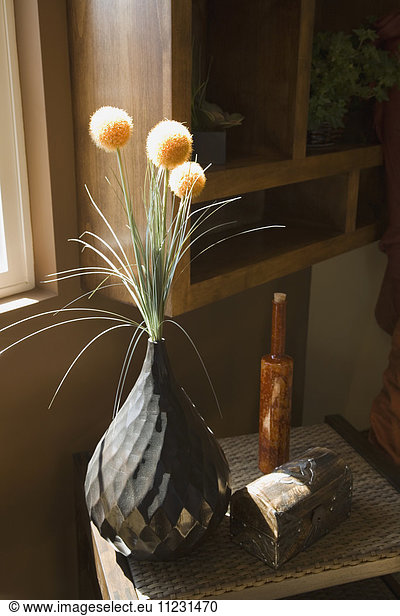 Indoor Plant in Vase