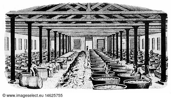 industry  chemical industry  soda  Soda production  crystallising hall  Chance's Alkali Works  Oldbury  Worcestershire  wood engraving  19th century  production  manufacturing  plant  plants  factory  factories  work  works  chemistry  factory building  factory buildings  interior view  Chance Brothers  crystallize  vegetate  crystallizing  vegetating  solidification  hall  halls  Great Britain  industry  industries  soda  natron  historic  historical