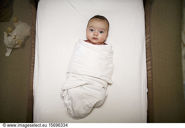 infant  baby  child  portrait  newborn