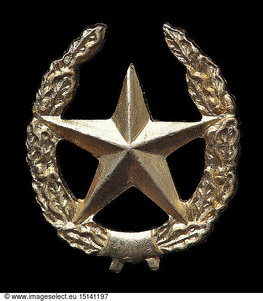 Infantry insignia  Russia