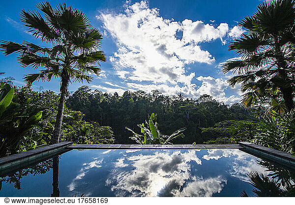 infinity pool at luxury resort in Bali
