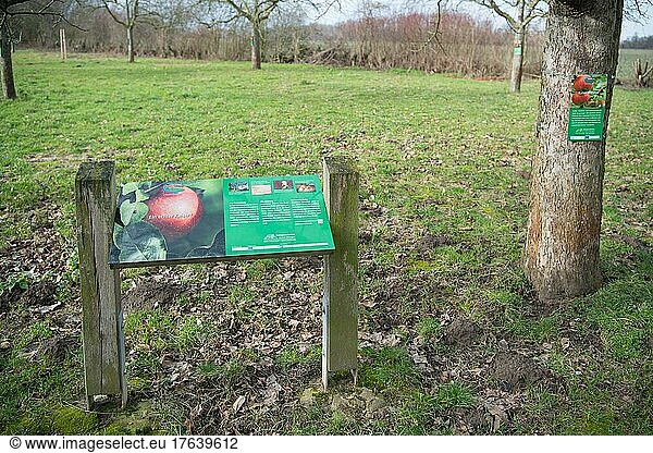 Information board on the hiking trail in the nature reserve  information on the importance of meadow orchards  Düsseldorf  Germany  Europe