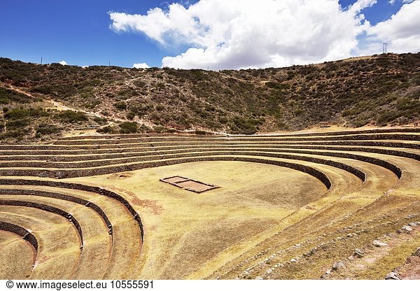 Inka-Terrassen im Heiligen Tal  Landwirtschaft  Moray  Ollantaytambo  Peru  Südamerika