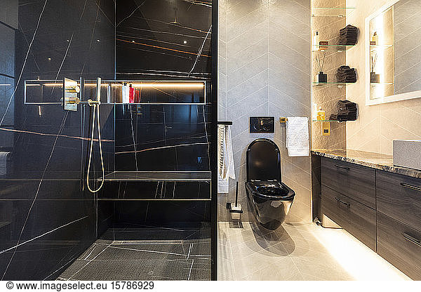 Inneneinrichtung eines Badezimmers in einer Luxusimmobilie  mit schwarzer Toilette  London  UK