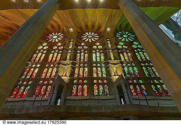 Innenraum der Sagrada Família  Sühnekirche der Heiligen Familie  Architekt Antoni Gaudí  Barcelona  Katalonien  Spanien  Europa